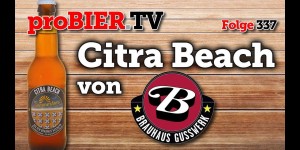 Beitragsbild des Blogbeitrags Citra Beach – Das Baywatch Bier aus Hof 