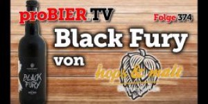 Beitragsbild des Blogbeitrags Black Fury von Hops & Malts | proBIER.TV – Craft Beer Review #374 [4K] 