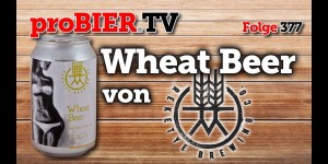 Beitragsbild des Blogbeitrags Plattensee Erinnerungen mit Weizenbier – Reketye Wheat 