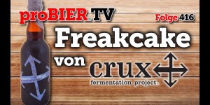 Beitragsbild des Blogbeitrags Backe, backe, Kuchen – Freakcake von Crux 