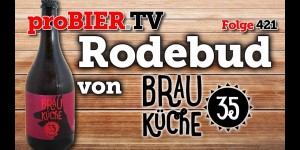 Beitragsbild des Blogbeitrags Rosebud – die Rosenknospe aus der Brauküche 35