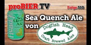 Beitragsbild des Blogbeitrags 3 Bierstile – 1 Dose – Sea Quench Ale von Dogfishhead
