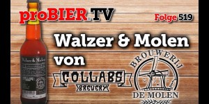 Beitragsbild des Blogbeitrags Walzer&Molen von Collabs/DeMolen | proBIER.TV – Craft Beer Review #519 [4K] 