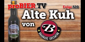 Beitragsbild des Blogbeitrags Eine Kuh mach Muh – Alte Kühe machen Mühe