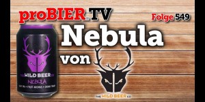 Beitragsbild des Blogbeitrags Nebula von Wild Beer Co. | proBIER.TV – Craft Beer Review #549 [4K] 
