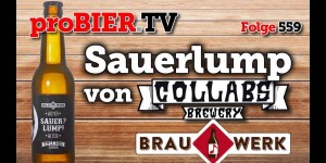 Beitragsbild des Blogbeitrags Sauerlump von Collabs/Brauwerk | proBIER.TV – Craft Beer Review #559 [4K] 