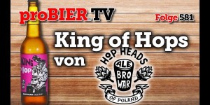 Beitragsbild des Blogbeitrags King of Hops von Ale Browar | proBIER.TV – Craft Beer Review #581 [4K] 