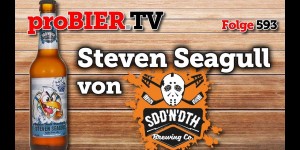 Beitragsbild des Blogbeitrags Steven Seagull – der Sudden Death IPA Actionheld