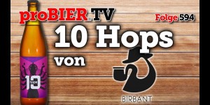 Beitragsbild des Blogbeitrags Das Bier mit Hopfen – 10 Hops von Birbant