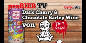 Beitragsbild des Blogbeitrags Barley Wine aus der Dose – Tiny Rebel mit Siren