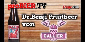 Beitragsbild des Blogbeitrags Dr.Benji Fruitbeer BA von Der Gallier | proBIER.TV – Craft Beer Review #850 [4K] 