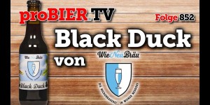 Beitragsbild des Blogbeitrags Schwarze Ente aus Wiener Neudorf