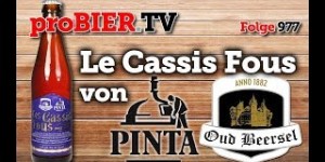 Beitragsbild des Blogbeitrags Le Cassis Fous von Pinta und Oud Beersel | proBIER.TV – Craft Beer Review #977 [4K] 