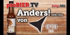 Beitragsbild des Blogbeitrags Anders! DDH Citra von Orca Brau | proBIER.TV – Craft Beer Review #980 [4K] 