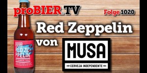 Beitragsbild des Blogbeitrags Red Zeppelin von Musa | proBIER.TV – Craft Beer Review #1020 [4K] 