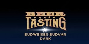 Beitragsbild des Blogbeitrags Dark von Budweiser | proBIER.TV – Craft Beer Review #1065 [4K] 