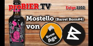 Beitragsbild des Blogbeitrags Barrel Born Mostello #4 von Brauwerk / Brew Age | proBIER.TV – Craft Beer Review #1102 [4K] 