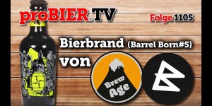 Beitragsbild des Blogbeitrags Barrel Born Bierbrand #5 von Brauwerk / Brew Age | proBIER.TV – Craft Beer Review #1105 [4K] 