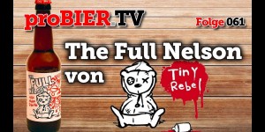 Beitragsbild des Blogbeitrags Full Tiny – Full Rebel – Full Nelson 
