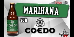 Beitragsbild des Blogbeitrags Marihana von Coedo | proBIER.TV – Craft Beer Review #1142 [4K] 
