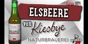 Beitragsbild des Blogbeitrags Waldbier Elsbeere von Kiesbye Naturbrauerei | proBIER.TV – Craft Beer Review #1172 [4K] 