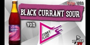 Beitragsbild des Blogbeitrags Black Currant Sour von Funky Fluid | proBIER.TV – Craft Beer Review #1205 [4K] 