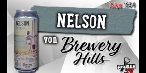 Beitragsbild des Blogbeitrags Nelson von Brewery Hills | proBIER.TV – Craft Beer Review #1234 [4K] 