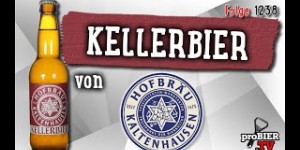 Beitragsbild des Blogbeitrags Kellerbier von Hofbräu Kaltenhausen | proBIER.TV – Craft Beer Review #1238 [4K] 