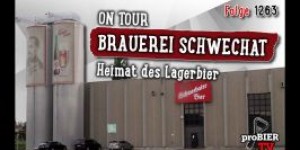 Beitragsbild des Blogbeitrags ON TOUR | Schwechater Brauerei | Craft Bier Video #1263 