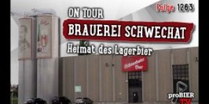 Beitragsbild des Blogbeitrags ON TOUR | Schwechater Brauerei | Craft Bier Video #1263