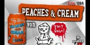 Beitragsbild des Blogbeitrags Peaches & Cream von Tiny Rebel | Craft Bier Verkostung #1264