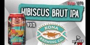 Beitragsbild des Blogbeitrags Hibiscus Brut IPA von Kona Brewing | Craft Bier Verkostung #1270