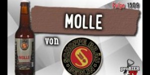 Beitragsbild des Blogbeitrags Molle von Schoppe Bräu | Craft Bier Verkostung #1309