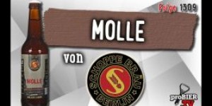 Beitragsbild des Blogbeitrags Molle von Schoppe Bräu | Craft Bier Verkostung #1309 