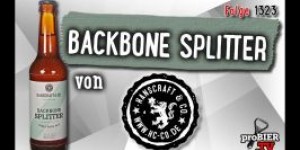Beitragsbild des Blogbeitrags Backbone Splitter von Hanscraft & Co. | Craft Bier Verkostung #1323
