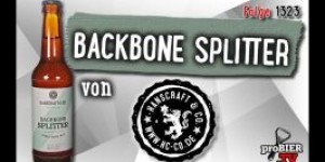 Beitragsbild des Blogbeitrags Backbone Splitter von Hanscraft & Co. | Craft Bier Verkostung #1323 