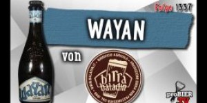 Beitragsbild des Blogbeitrags Wayan von Birra Baladin | Craft Bier Verkostung #1337 