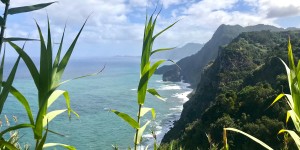 Beitragsbild des Blogbeitrags Madeira-Highlights: Die 7 schönsten Plätze auf Madeira 