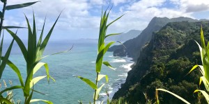 Beitragsbild des Blogbeitrags Madeira-Highlights: Die 7 schönsten Plätze auf Madeira