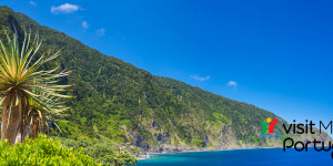 Beitragsbild des Blogbeitrags 4 Fakten über Madeira