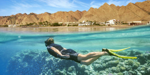 Beitragsbild des Blogbeitrags TUI Reiseexpert:innen – Tauchurlaub