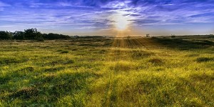 Beitragsbild des Blogbeitrags Himmel und Hölle