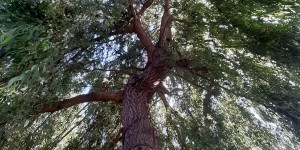 Beitragsbild des Blogbeitrags Begegnest du auf deinem Weg einem Menschen…