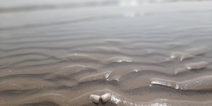 Beitragsbild des Blogbeitrags Manchmal muss dein Leben aus den Fugen geraten
