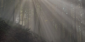 Beitragsbild des Blogbeitrags Liebe macht keine Fehler