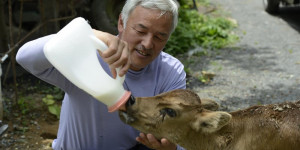 Beitragsbild des Blogbeitrags Naoto Matsumura – Der Tierretter von Fukushima