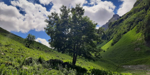 Beitragsbild des Blogbeitrags Ein kleiner Funke der Liebe 