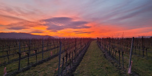 Beitragsbild des Blogbeitrags Achte auf deine Gedanken 