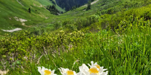 Beitragsbild des Blogbeitrags Die schönsten Menschen