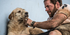 Beitragsbild des Blogbeitrags Arthur – Der Hund, der den Dschungel für ein Zuhause durchquert